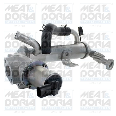 EGR Module